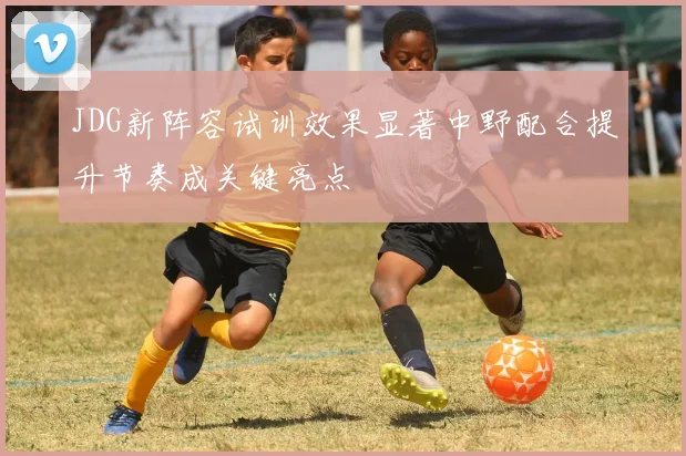 JDG新阵容试训效果显著中野配合提升节奏成关键亮点
